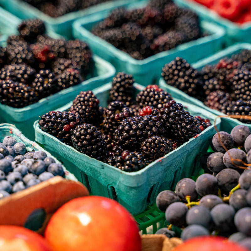 Blackberries in a grocery store container