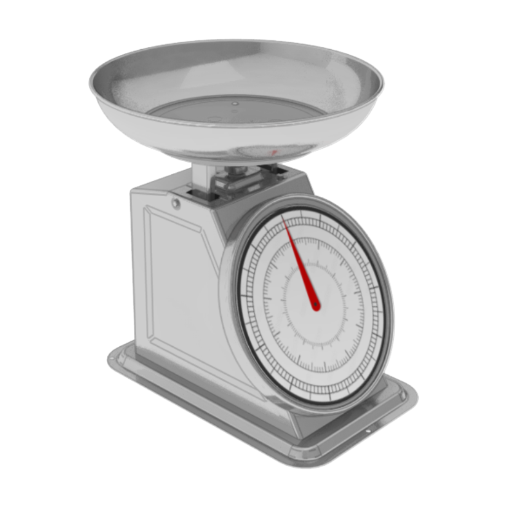 Stainless Steel Scale