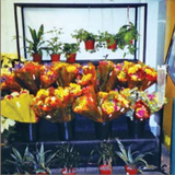 Outdoor Display |  Floral  Display| The Marco Company-MET-FS 003