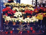 Outdoor Display |  Floral  Display| The Marco Company-MET-FS 004